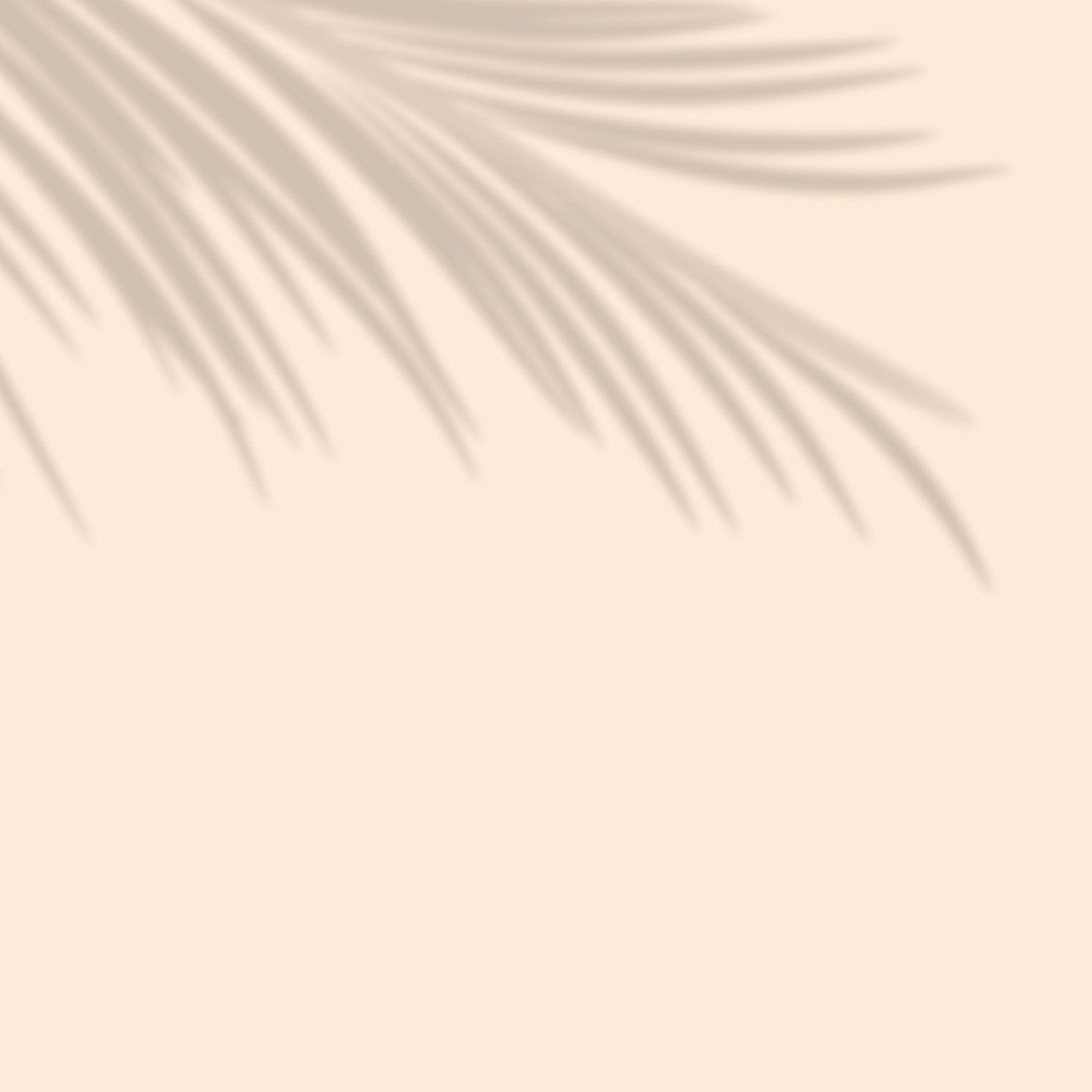 Beige Background with Palm Leaf Shadow